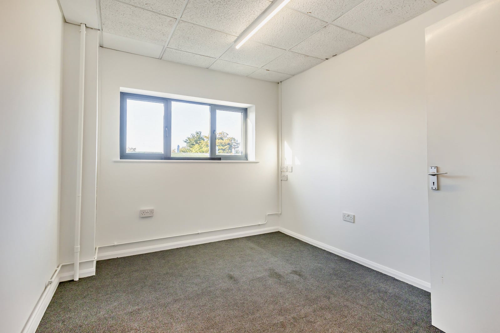 WHY260021 25.jpg